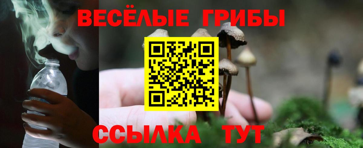 Псилоцибиновые грибы мухоморы  Вход с VPN  Тавда 
